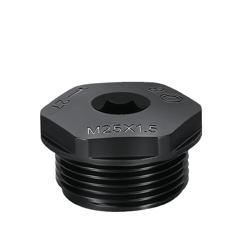 Hex Socket Plug - Image 1